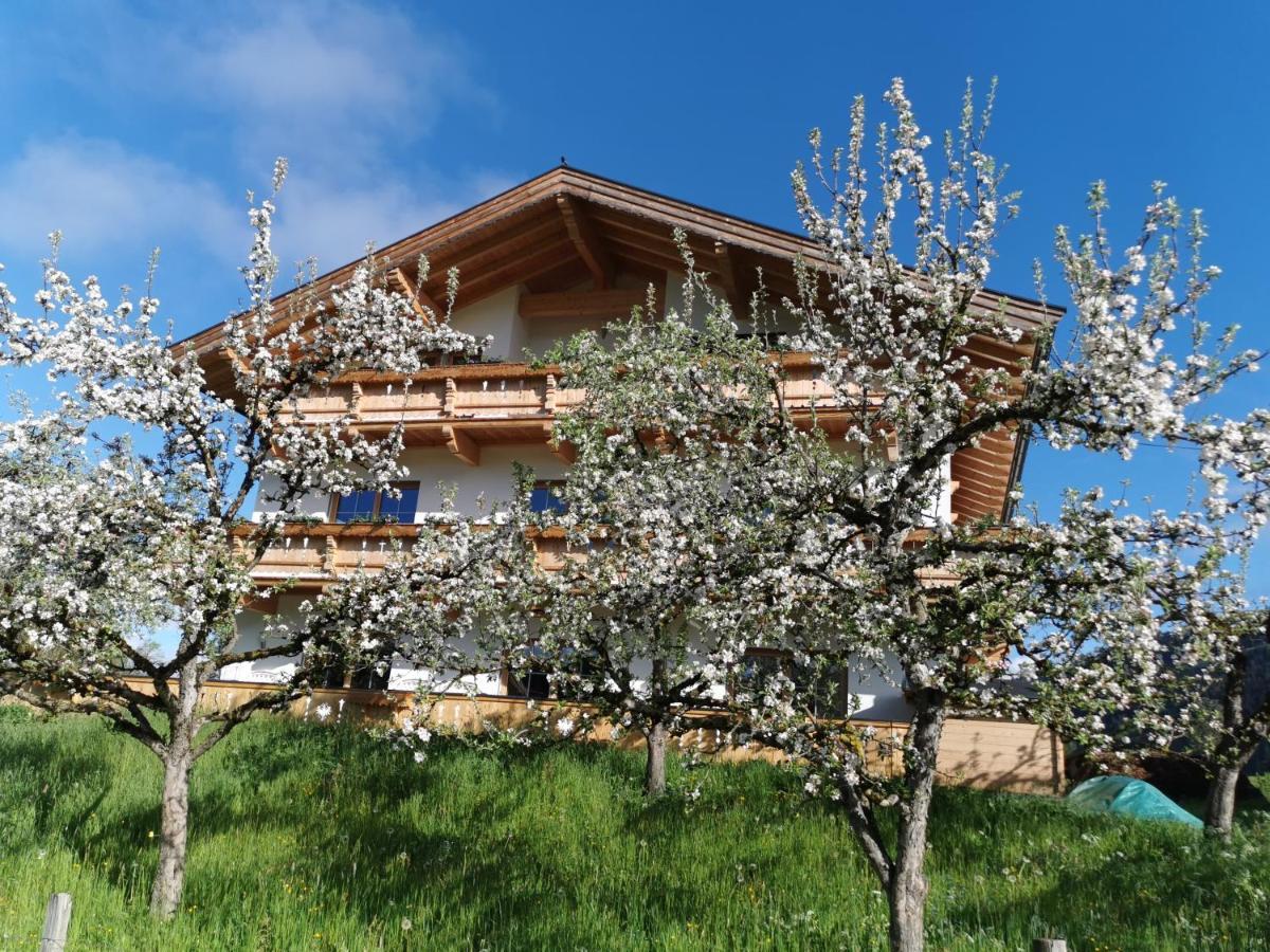 Appartements Hoepfl Westendorf Zewnętrze zdjęcie